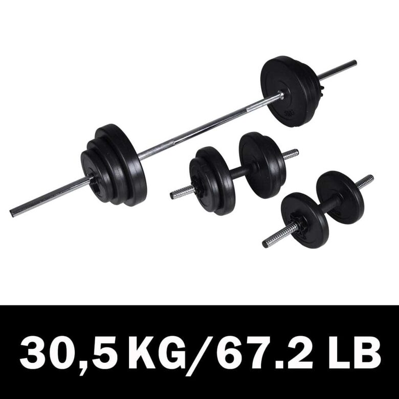 Štangos ir 2 vnt. hantelių rinkinys 30,5 kg 