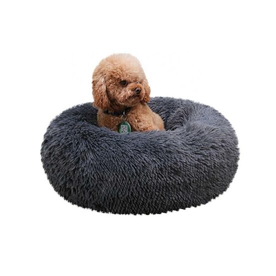 Guolis augintiniui AG602R