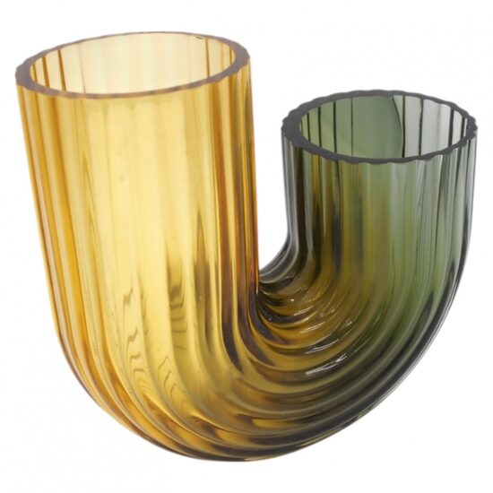 Išskirtinio dizaino stiklinė vaza 21×9×20 cm