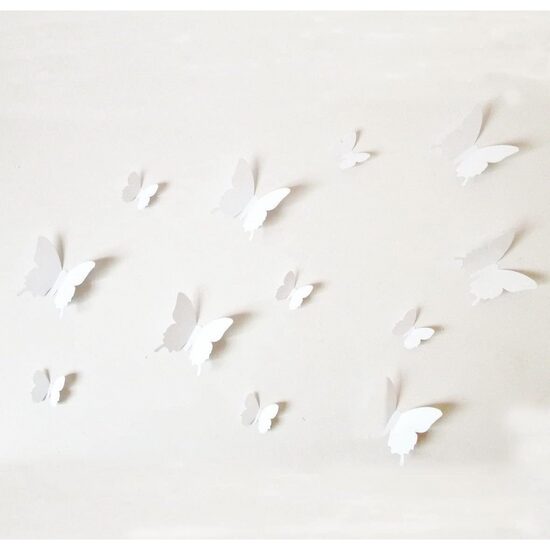 Lipnūs drugeliai (balti)