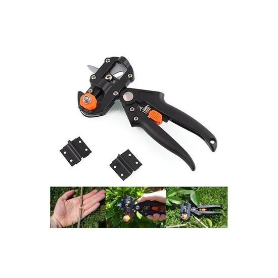 Medelių skiepijimo sekatorius