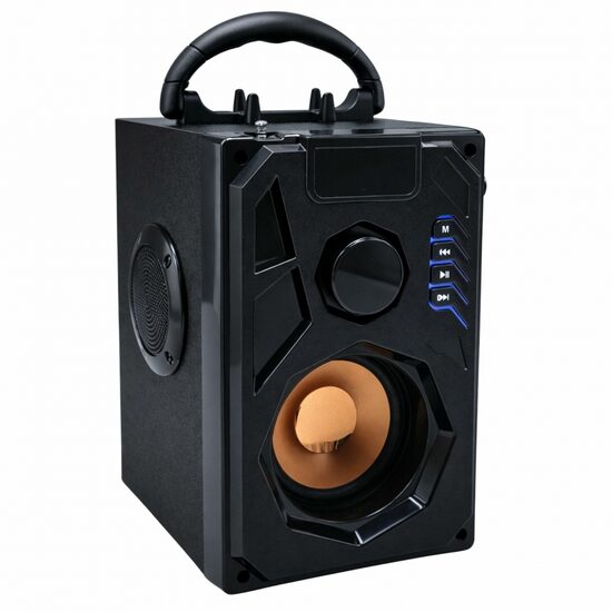 Nešiojama garso kolonėlė su bluetooth ir FM radiju